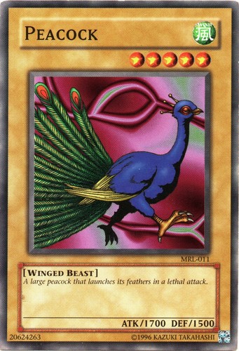 Mrl 011 peacock aus magic - mrl-011,