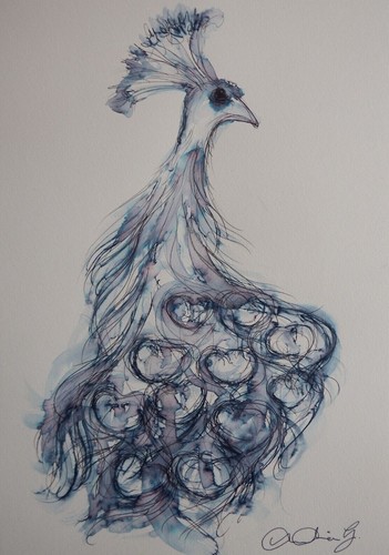 Feder tusche pfau zeichnung - pfau,