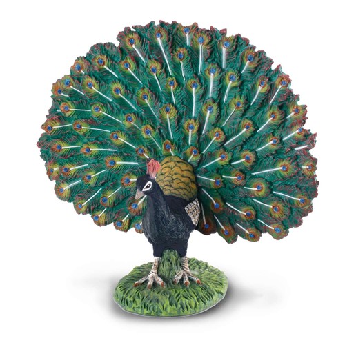 Collecta peacock - collecta,