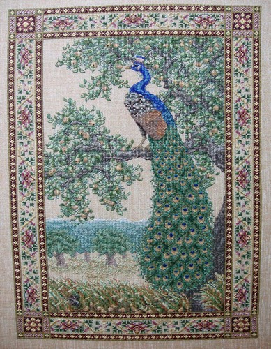 Pfau gobelin vogel kreuzstich - pfau,