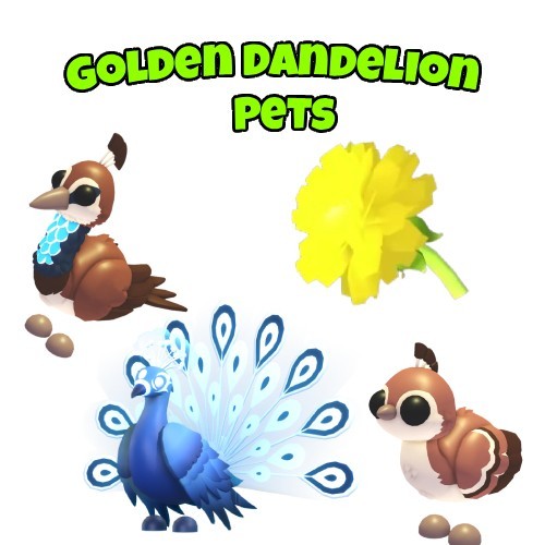 Adopt golden - me,