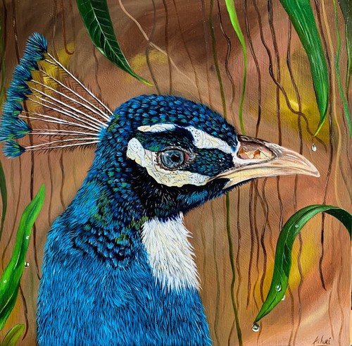Pfau original - pfau,