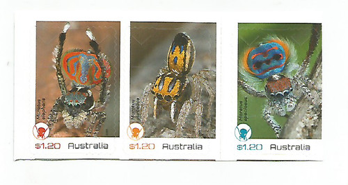 Australien 2023 peacock - 2023,