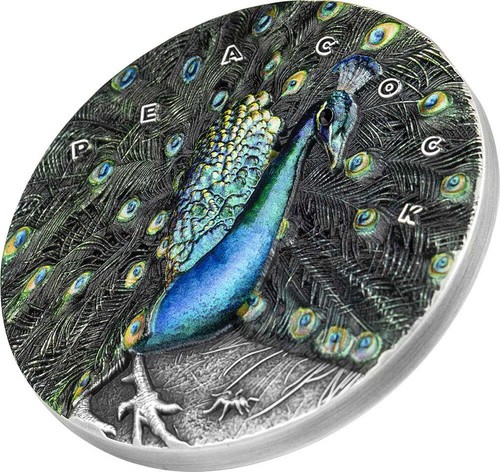 Niue 2022 amazing animals - -,