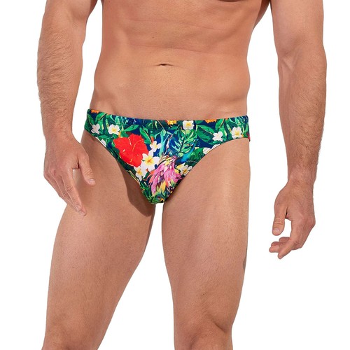 Hom peacock swim - swim, micro
